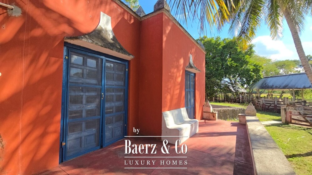 Foto 67 1000w