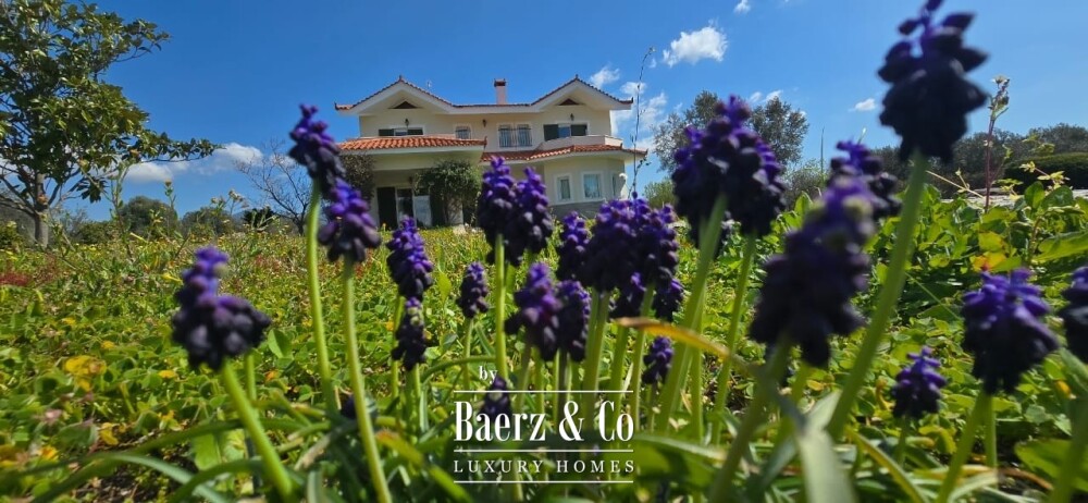 Foto 16 1000w