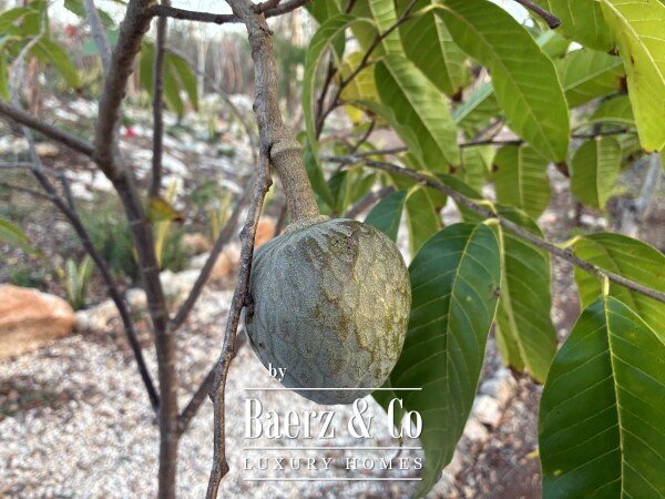 photo 30 A Private Yucatán Estate — A Life of Privacy, Nature and Independence
